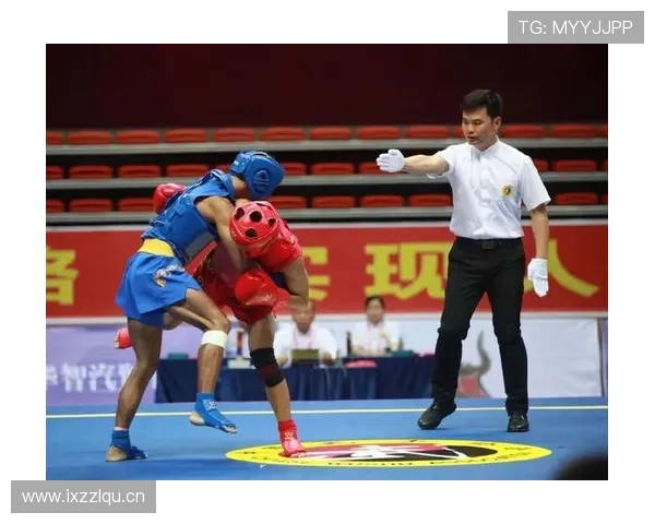 观众干扰比赛情况下裁判如何正确判罚规则拆解揭秘